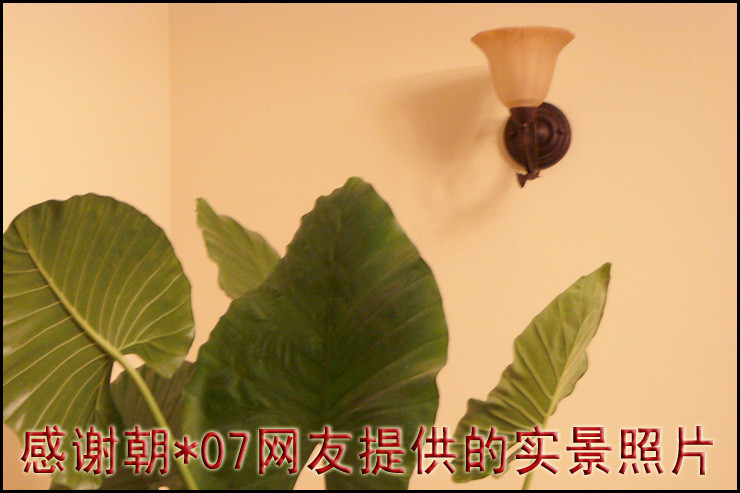 [薇凡] 欧式壁灯 罗马单头壁灯镜前灯床头灯 灯罩可上可下B8041-1