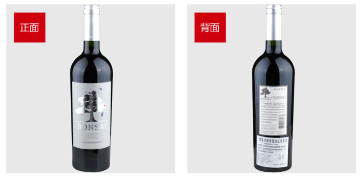 智利安第斯佳美娜红葡萄酒2010 价格\/智利安第