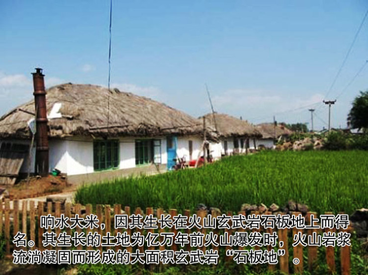 东北特产 御龙源历代御用响水米 石板田大米 牡