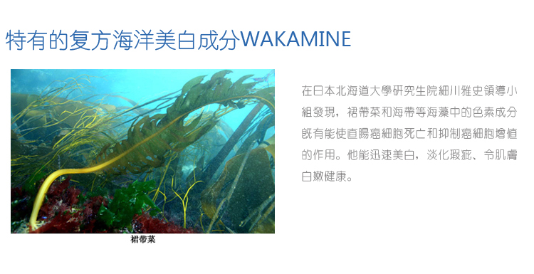 伊贝诗 Ribecs 水悦皙白焕颜霜50g价格、套装