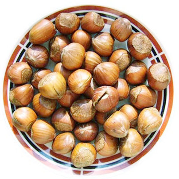 东北特产+御龙源精选野生榛子