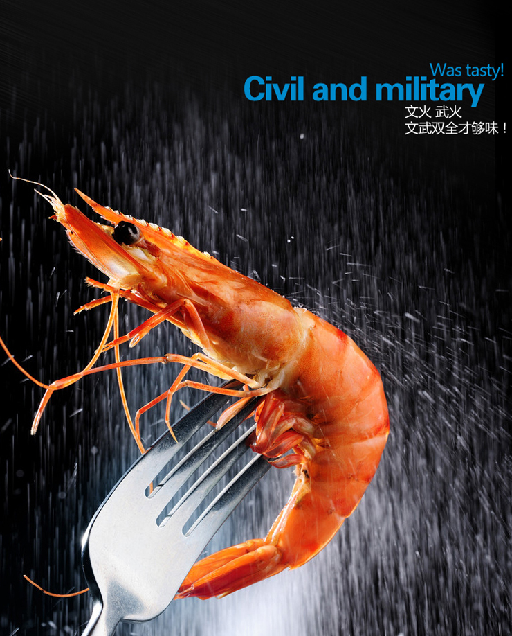 亿田(entive)DZ307台嵌双用 单眼电灶 价格,亿田