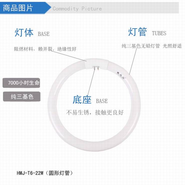 惠美加T6环形灯管22W荧光灯管节能灯管四针孔插头白光日光色（两只装）