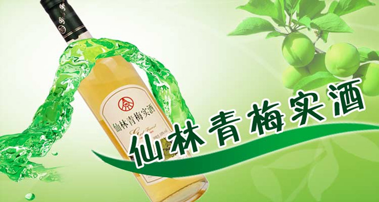 五粮液仙林青梅实酒 果酒 10度650ml 价格\/五粮