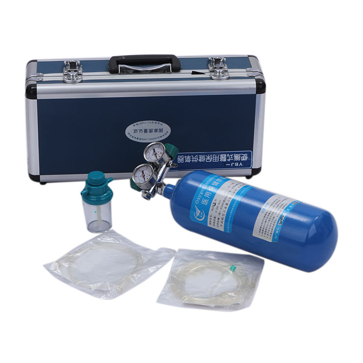便携式医用保健供氧器(铝合金)2L双表在京东商