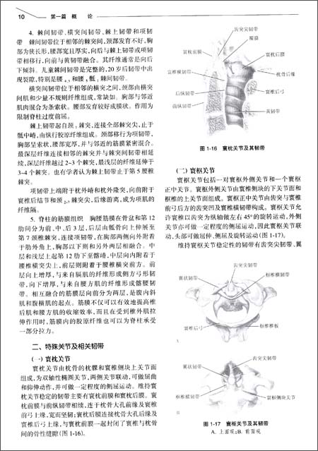 (二)体格检查