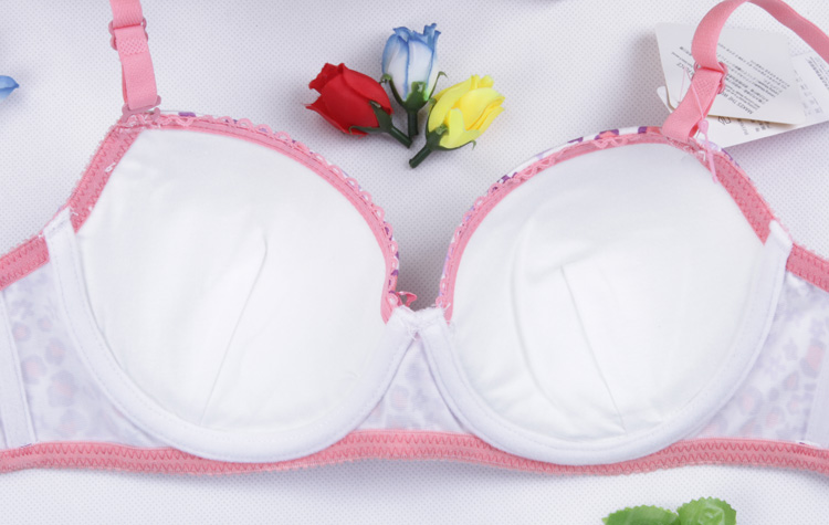 怡兰芬<em>品牌</em>正品少女学生内衣女士<em>纯棉里料文胸</em>