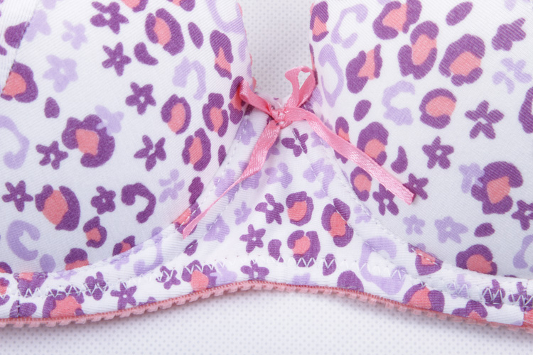 怡兰芬<em>品牌</em>正品少女学生内衣女士<em>纯棉里料文胸</em>