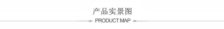 邸高家居 热卖包邮 欧式书房装饰品 书桌摆件 合金地球仪 工艺品 黑色