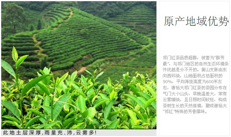 谢裕大 祁门红茶 特级20g 工夫红茶 精美便携式