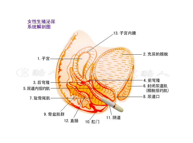 京东触屏版