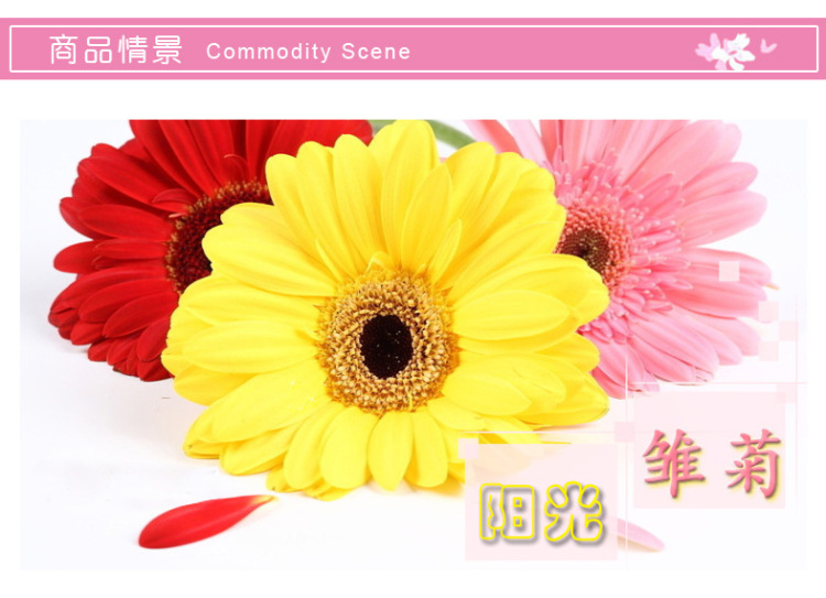 
                                        原始风 可移除墙贴 客厅卧室贴花 电视背景墙浪漫婚房温馨床头贴纸墙饰 黄色阳光雏菊                