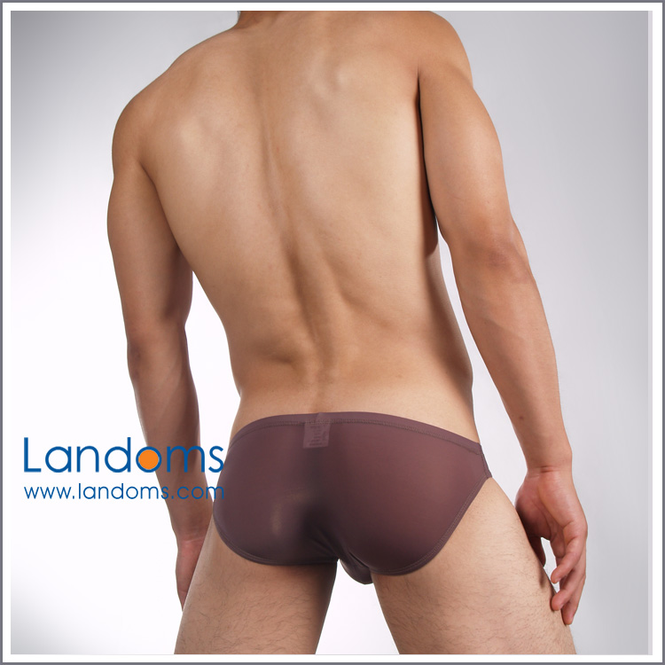 男士低腰三角内裤 U凸半透明冰丝内裤,朦胧性