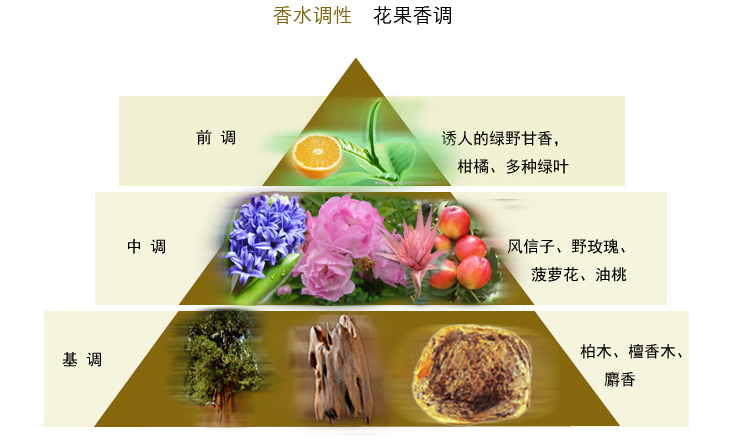 巴宝莉周末女士香水EDP 50ml 价格、套装、试