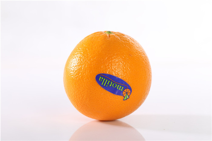 西班牙脐橙 spanish navel orange