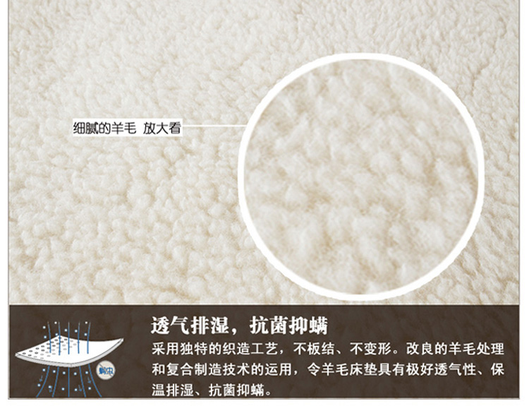 澳西奴（AUSSINO) 冬季床垫 单双人床垫-羊毛床垫 淡黄色 KB 1.8米床用