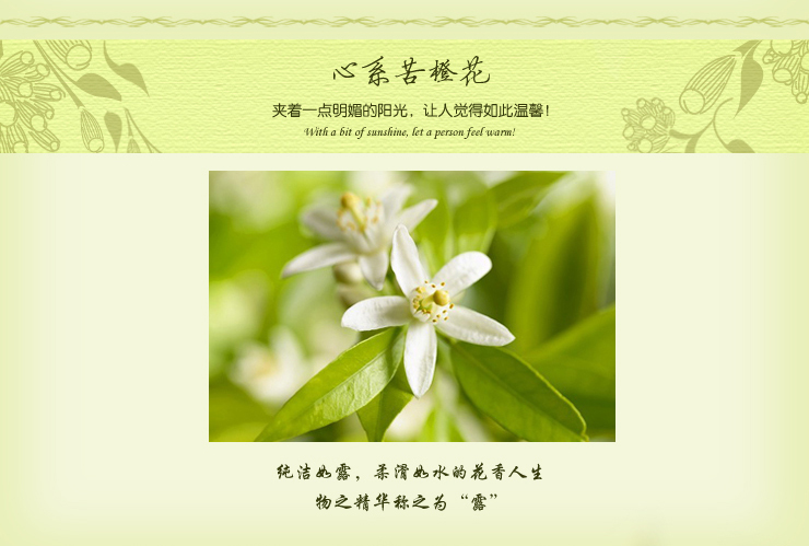 澳娜莉亚(ornalia) 苦橙花纯露化妆水100ml美白