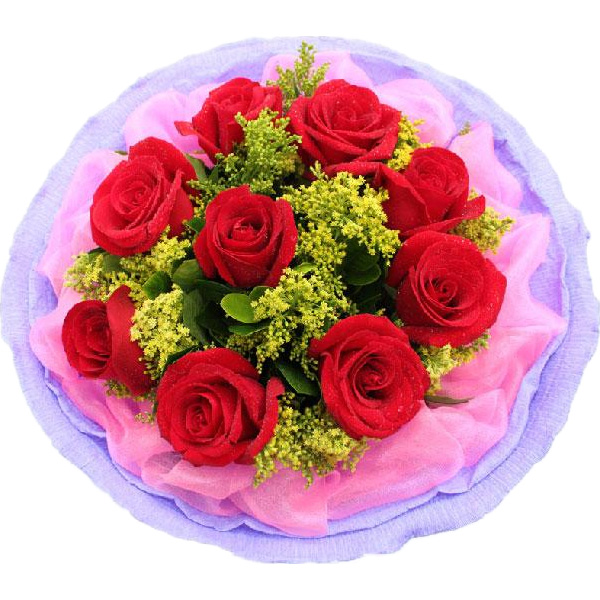 母亲节礼物9朵红玫瑰花送<em>女友生日</em>花束<em>表白</em>鲜