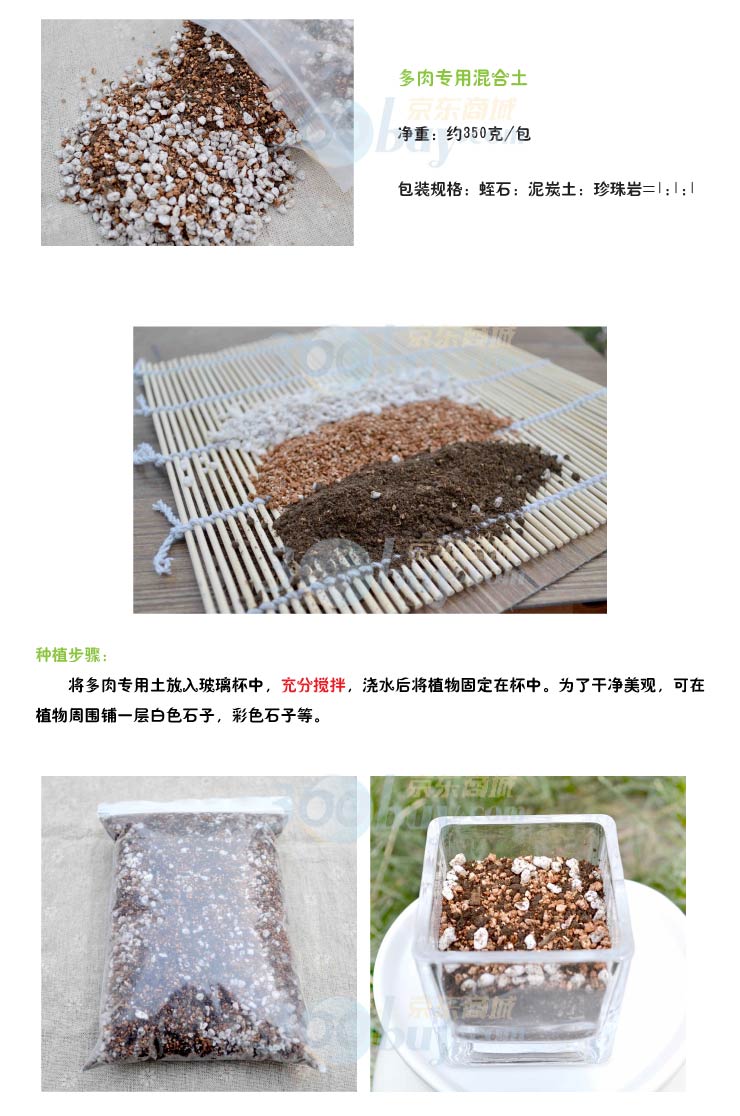 多肉盆栽组合 玉露寿1棵 子宝1棵 软尾生菜种子2包 大马莲韭菜种2包 多肉植物专用土1包在京东商城的价格走势