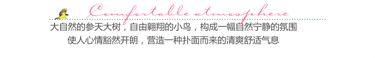 柠檬树 可移除墙贴绿树创意家居沙发背景墙电视墙 2M高X3.3M宽 特大