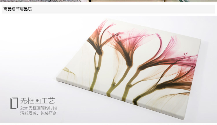 
                                        墙蛙wallwa 现代客厅装饰画餐厅简约有框花卉挂画壁画墙画三联画 蜜语透明花 G款叶子-木纹细框 外框尺寸72cm*72cm                