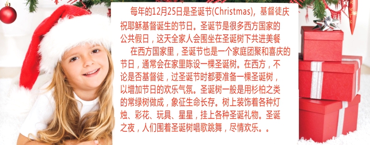 
                                        居梦坞 橱窗玻璃贴圣诞节装饰品雪花 元旦春节新年装饰贴纸（白色12朵） DWB38                