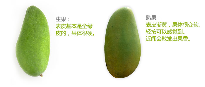 越南金煌芒 新鲜水果 大青芒 青皮芒 金煌 芒果