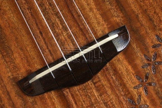 尤克里里 小吉他 Rainie T-40C 全单板25寸 T型