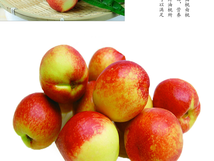 苑】桃驳李 新品上市澳洲桃驳李 进口黄油桃大
