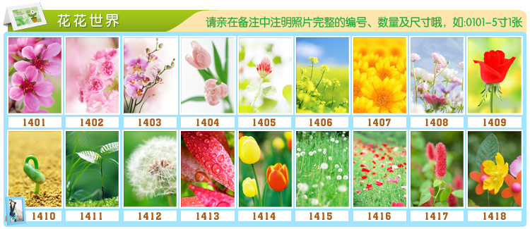 天字一号 照片打印相框专拍地址 高清柯达皇家高光相纸打印照片 7寸