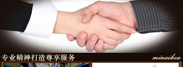 乐唯仕莱雅贝尔欧式树脂静音客厅卧室钟表双面挂钟AT201 白色AT201