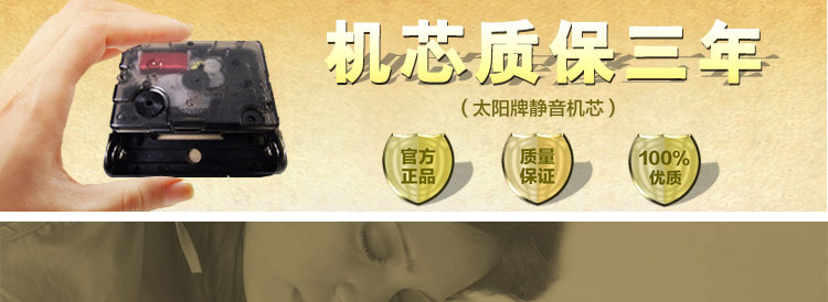 乐唯仕莱雅贝尔欧式树脂静音客厅卧室钟表双面挂钟AT201 白色AT201