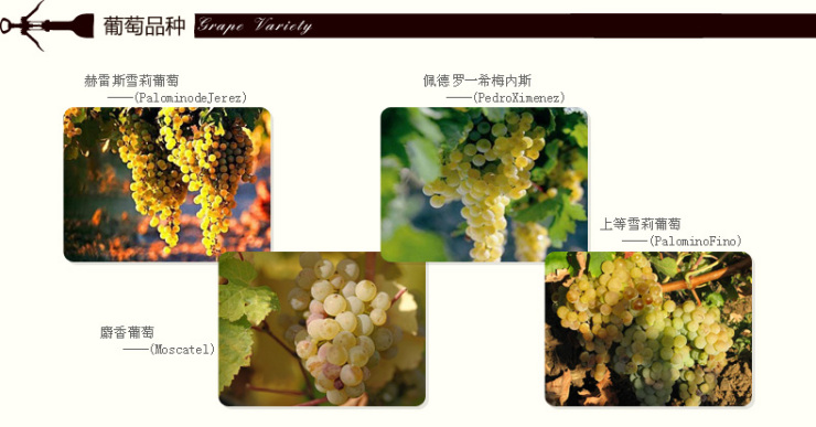 雷拉斯 进口葡萄酒 嘉味阿蒙提拉多6年 雪莉酒