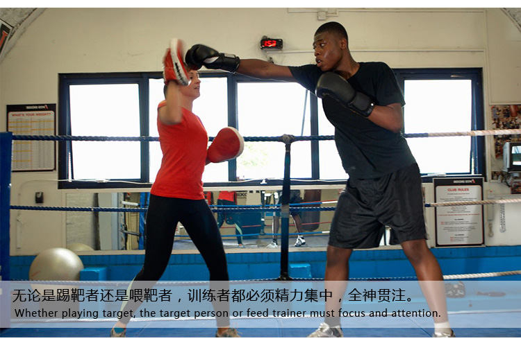 九日山 拳靶 散打拳击手靶 弧形手靶 专业品质高发泡 九日山美式训练手靶二只价 黑色怎么样?京东商城的价格走势-慢慢买比价网