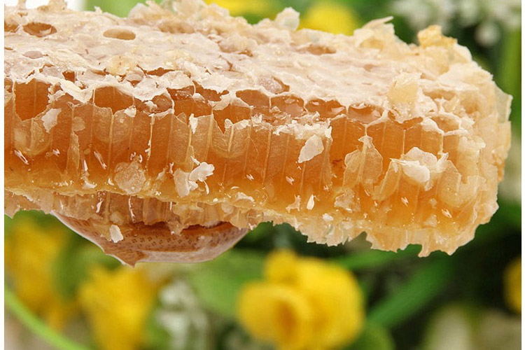 鸿香种蜂场六月洋槐蜜膏杨槐蜜1000g【价格 报价 正品 评价】 - 商旗网(SH7.COM)