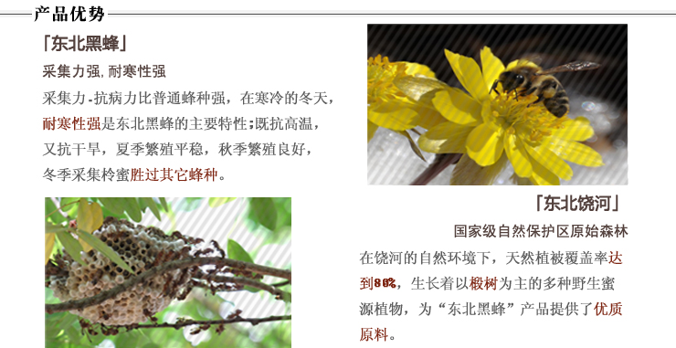 北大荒东北黑蜂椴树雪蜜1000g