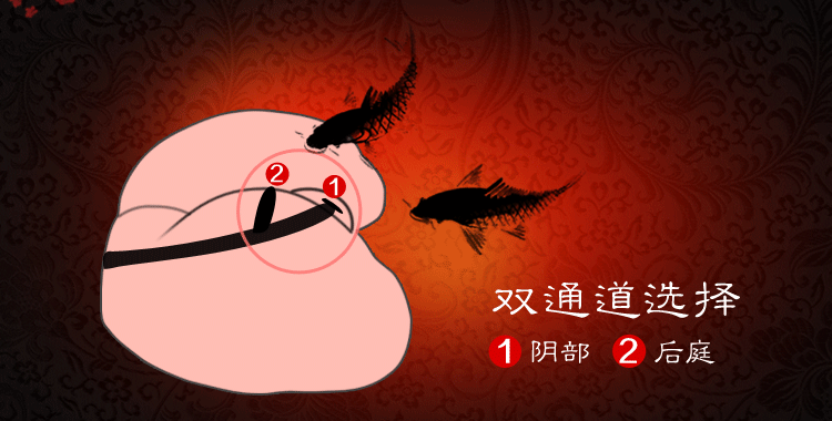 成人情趣用品男士自慰器 真人比例 阴臀倒模 男性自慰