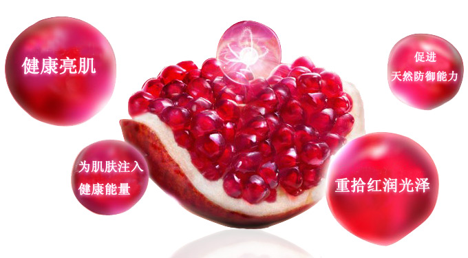 Estee Lauder 雅诗兰黛红石榴亮采精华(9CJN)