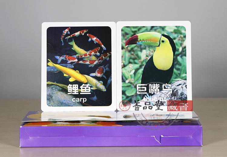 宝宝启蒙认知大全-动物世界 80张彩色图卡 0~