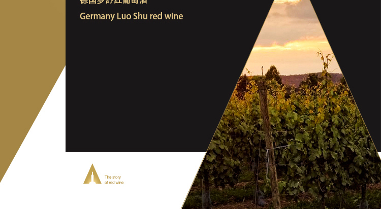 德国原瓶进口罗舒红葡萄酒750ml【单支装】_