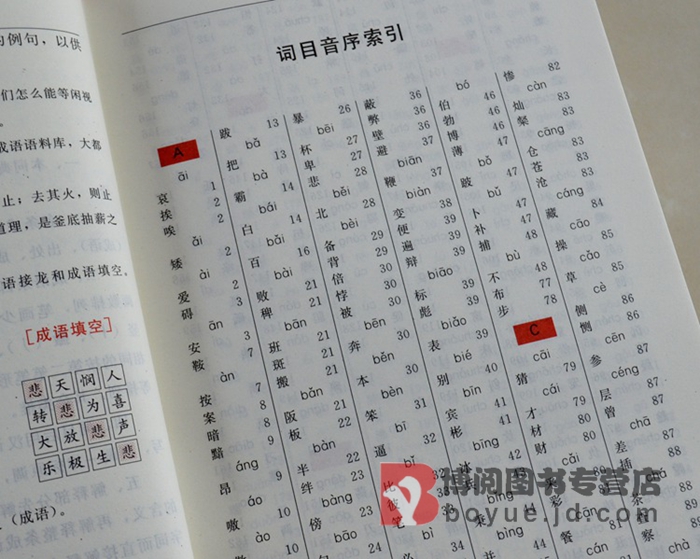 版 成语大词典(平装) 新编成语大词典 最新版 学