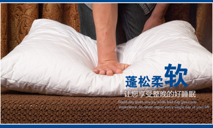 圣瑞德(saret) 天然木棉枕芯 立体枕头单人枕头芯48*74cm 纯棉品质酒店宾馆档次 2个天然木棉枕48*74 48*74cm