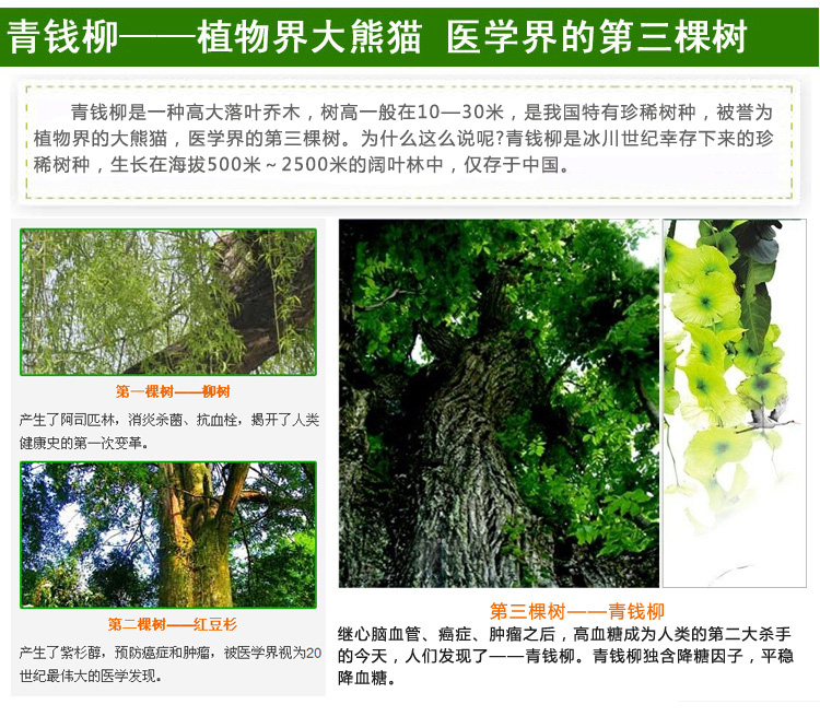京东触屏版