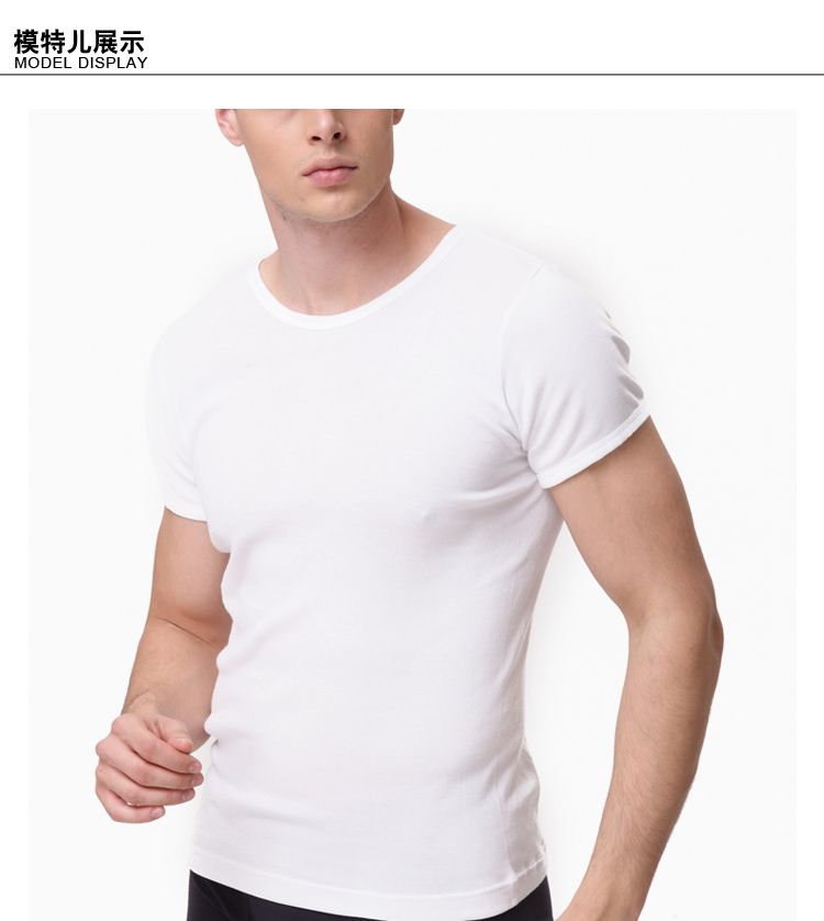 棉文化 男士T恤 100%纯棉短袖无缝T恤打底衫