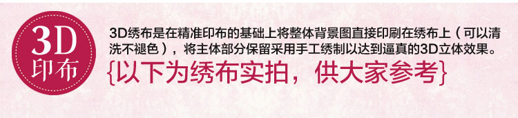 
                                                            美岸 新款5D十字绣抱枕 印花轿车抱枕 玫瑰 客厅沙发手工刺绣45*45厘米 浪漫玫瑰                