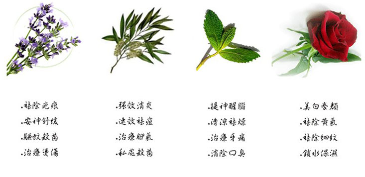 支持货到付款 香袭人单方澳洲纯茶树精油 祛青