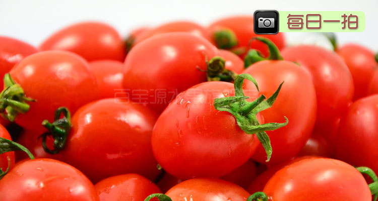 百宝源 新鲜海南千禧圣女果 小西红柿水果 1斤