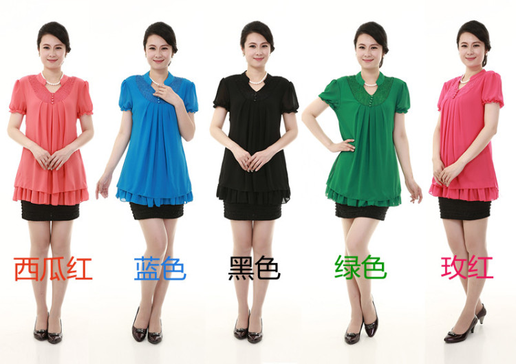 耀酷2014<em>中年女装短袖</em>雪纺衫韩版中老年夏装
