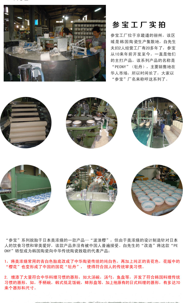 日本韩国进口陶瓷器餐具美浓烧参宝牡丹青花船型深盘
