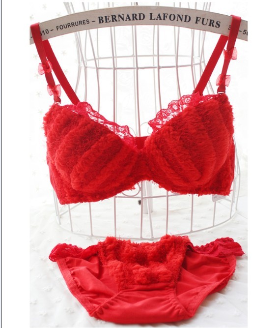 <em>货到付款</em>Saran少女内衣 秋冬款全棉毛绒<em>加厚</em>学